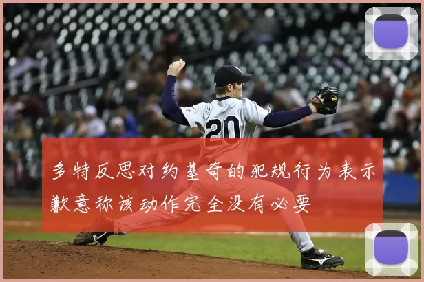 多特反思对约基奇的犯规行为表示歉意称该动作完全没有必要
