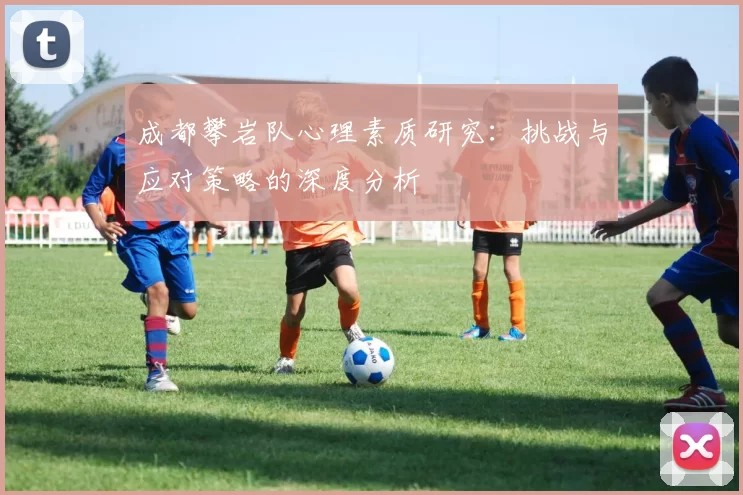 成都攀岩队心理素质研究：挑战与应对策略的深度分析