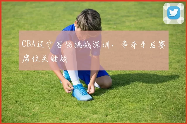 CBA辽宁客场挑战深圳,争夺季后赛席位关键战