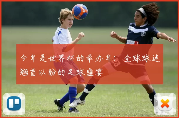 今年是世界杯的举办年：全球球迷翘首以盼的足球盛宴
