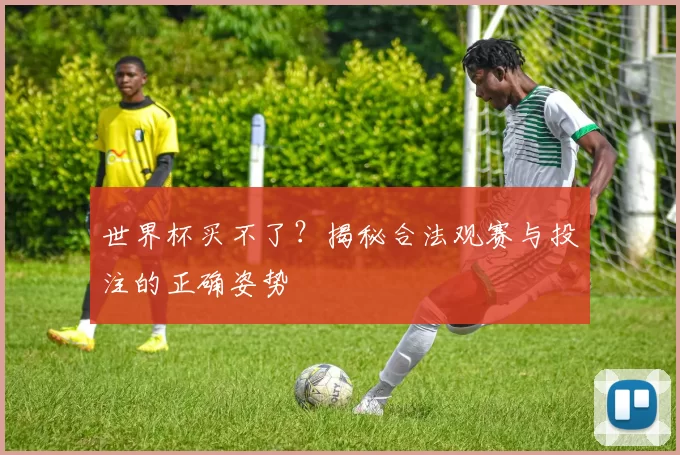 世界杯买不了?揭秘合法观赛与投注的正确姿势