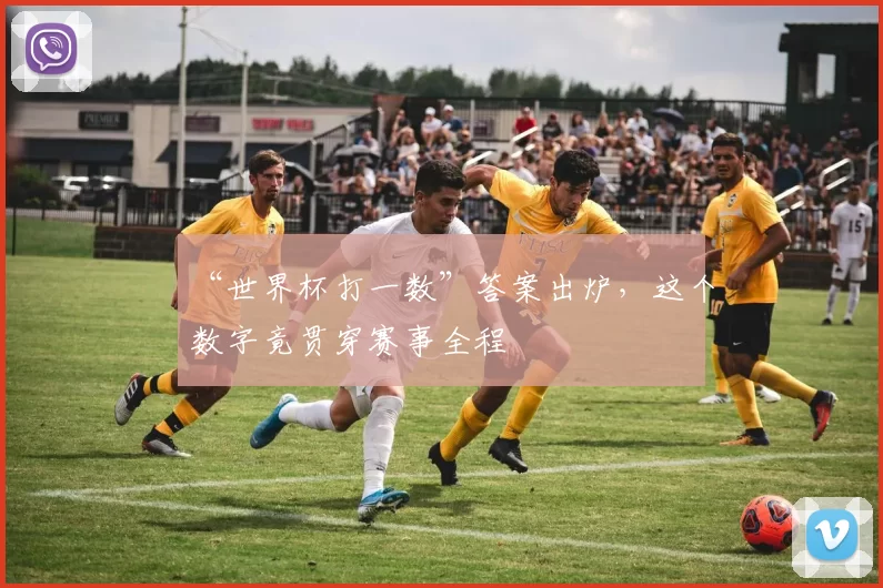 “世界杯打一数”答案出炉，这个数字竟贯穿赛事全程