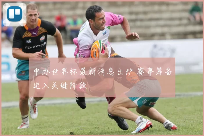 申办世界杯最新消息出炉 赛事筹备进入关键阶段