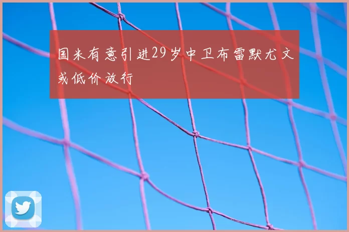 国米有意引进29岁中卫布雷默尤文或低价放行