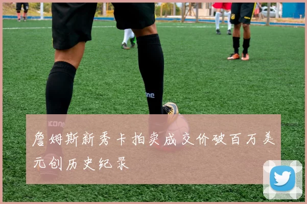 詹姆斯新秀卡拍卖成交价破百万美元创历史纪录