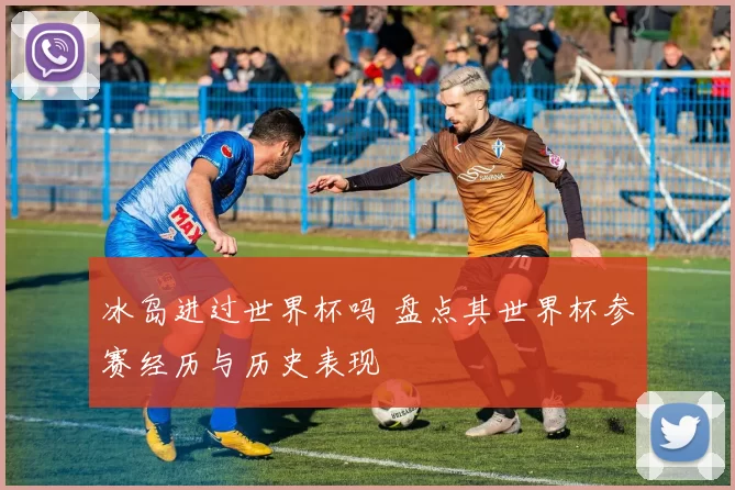 冰岛进过世界杯吗 盘点其世界杯参赛经历与历史表现