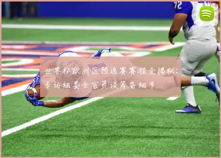 世界杯欧洲区预选赛赛程全揭秘：专访组委会官员谈筹备细节