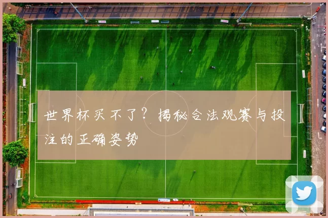 世界杯买不了?揭秘合法观赛与投注的正确姿势
