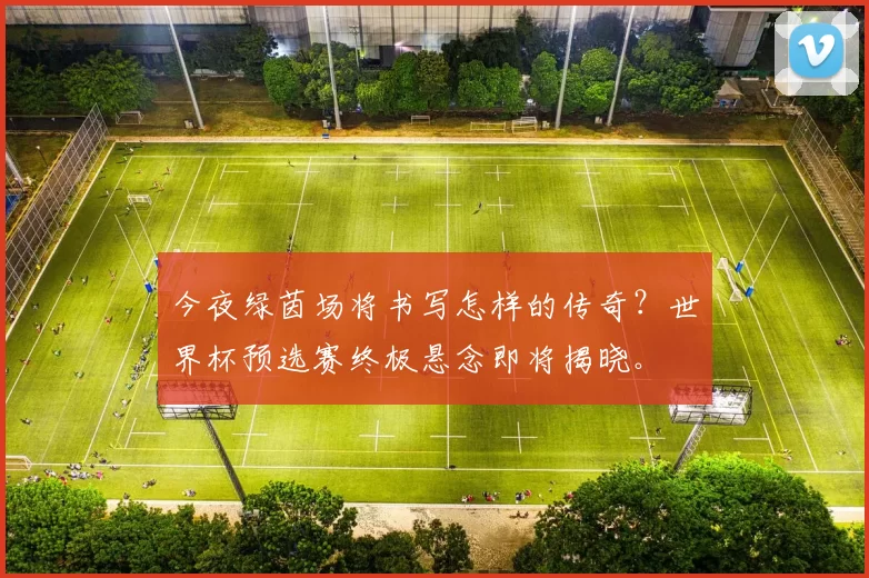 今夜绿茵场将书写怎样的传奇?世界杯预选赛终极悬念即将揭晓。