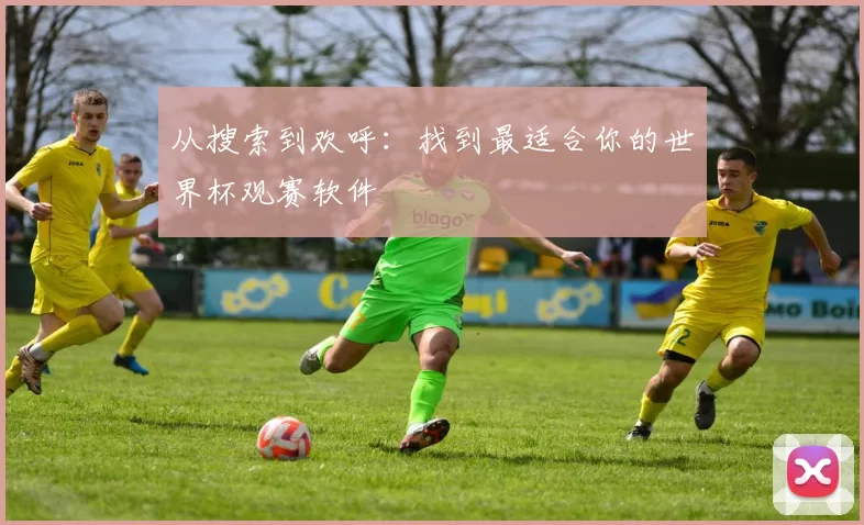 从搜索到欢呼:找到最适合你的世界杯观赛软件