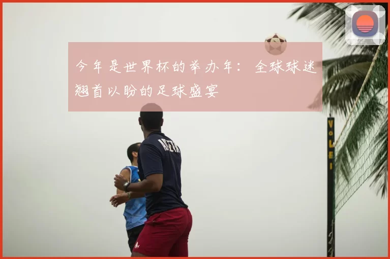 今年是世界杯的举办年：全球球迷翘首以盼的足球盛宴
