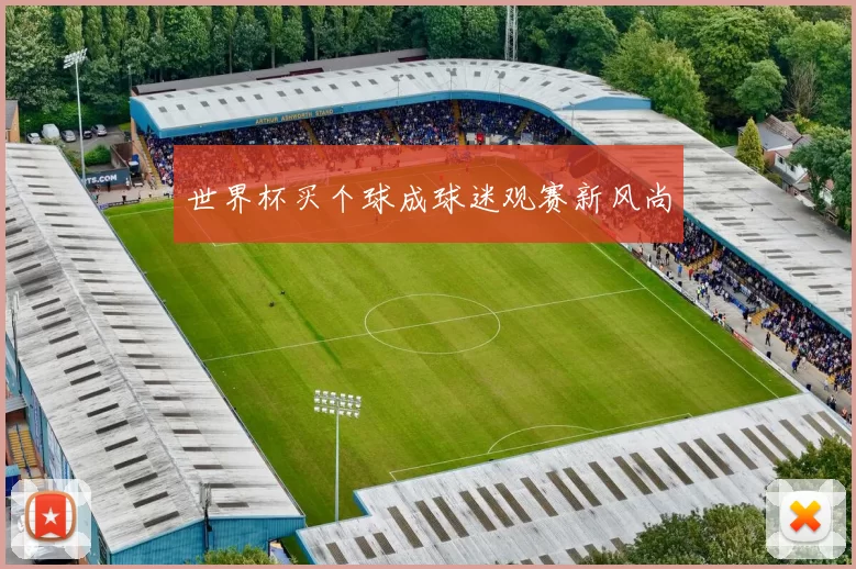 世界杯买个球成球迷观赛新风尚